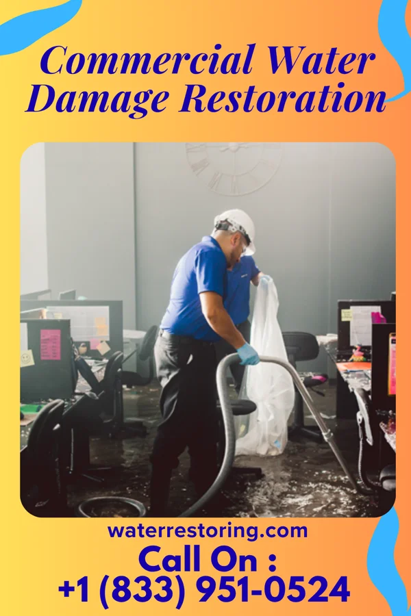 Commercial Water Damage Restoration in White Deer, TX
