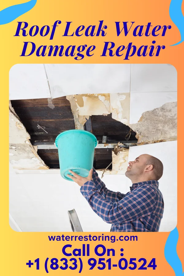 Roof Leak Water Damage Repair in White Deer, TX